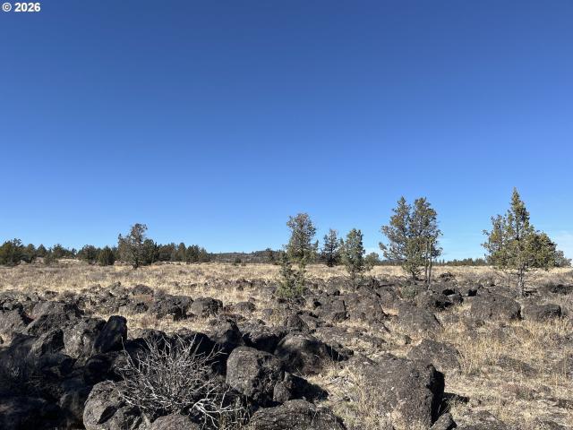 Land for sale in Oregonia