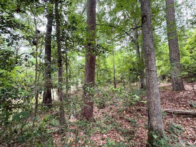 Land for sale in Jefferson, Marion County