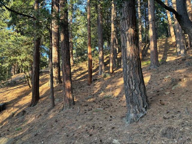 Land for sale in Idyllwild, California