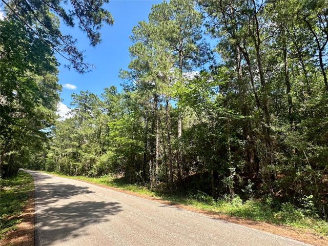 Land for sale in Richards, Texas