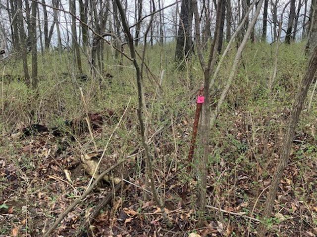 Land for sale in Tennessee