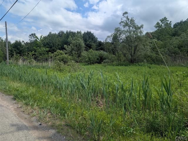 Land for sale in Oneida, New York