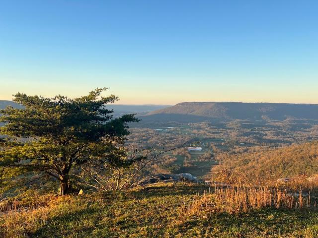 Land for sale in Menlo, Georgia