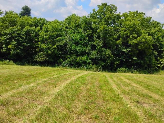 Land for sale in Lebanon, Kentucky