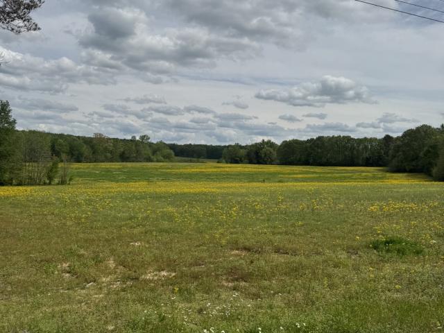 Farm for sale in Spanish Grove, West Tennessee