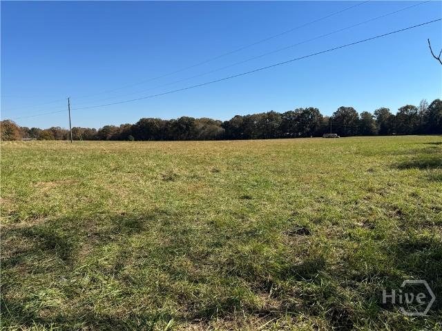Land for sale in Carlton, Georgia