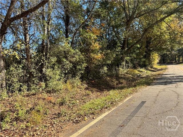 Land for sale in Carlton, Georgia