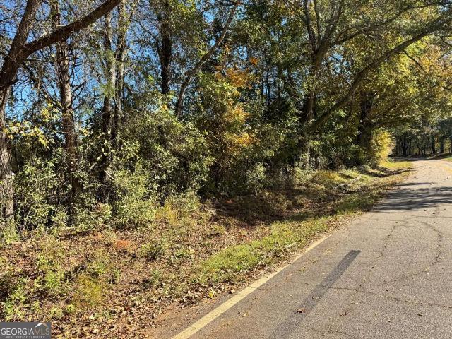Land for sale in Carlton, Georgia