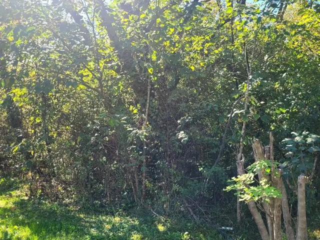 Land for sale in East Chattanooga, Chattanooga