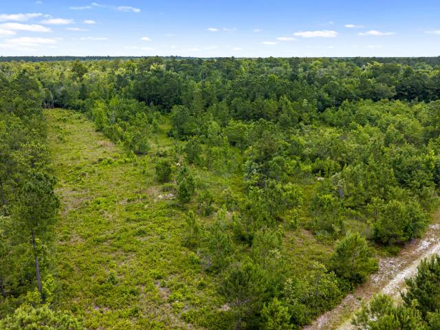Land for sale in North Carolina