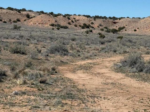 Land for sale in Sanders, Arizona