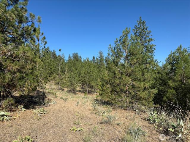Land for sale in Davenport