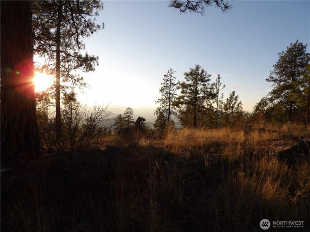 Land for sale in Tonasket, Okanogan County