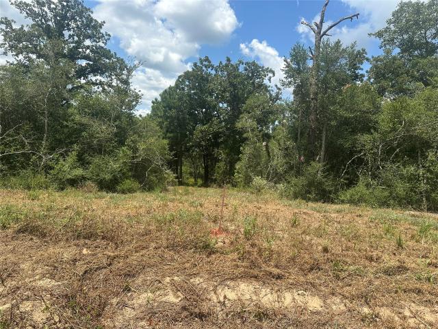 Land for sale in South Salem, Jewett