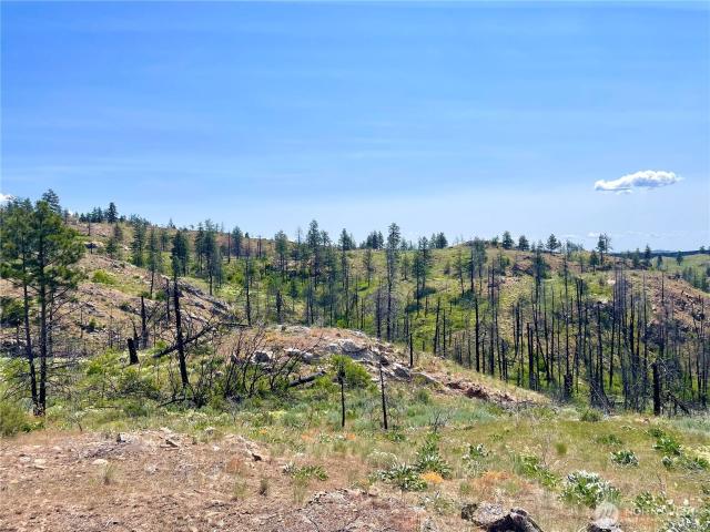 Land for sale in Okanogan, Washington