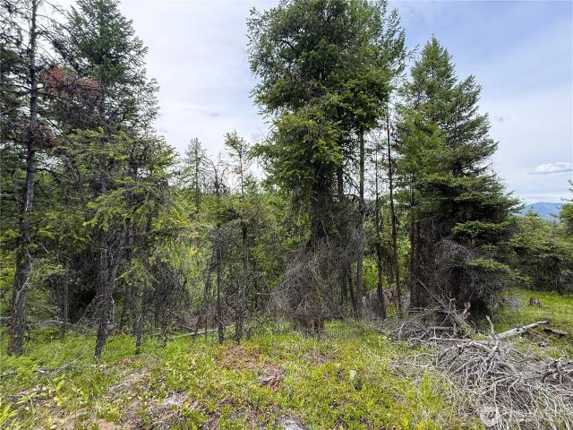 Land for sale in Republic, Washington