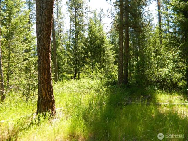 Land for sale in Tonasket, Washington