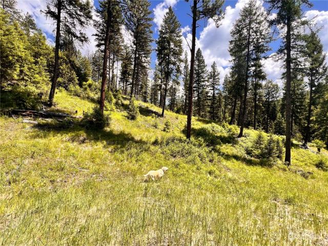 Land for sale in Republic, Washington