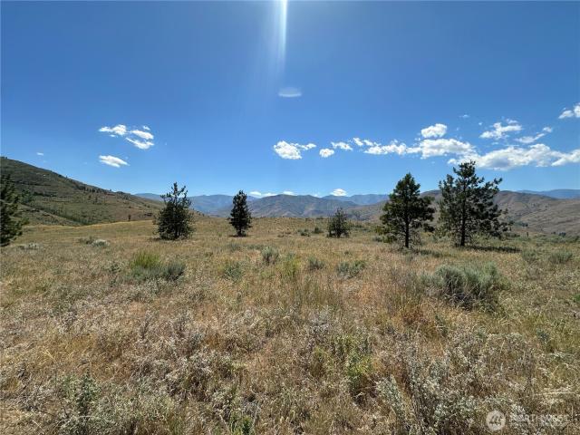 Land for sale in Pateros, Washington