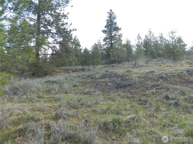 Land for sale in Tonasket, Washington