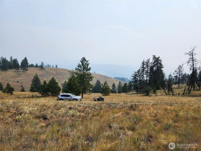 Land for sale in Republic, Ferry County