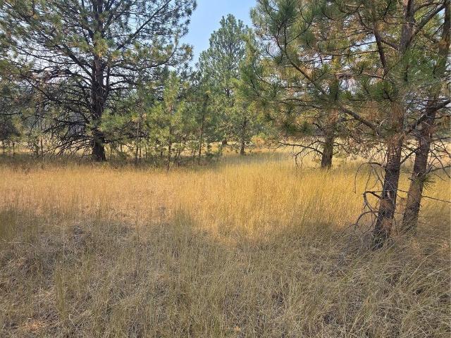 Land for sale in Tonasket, Okanogan County