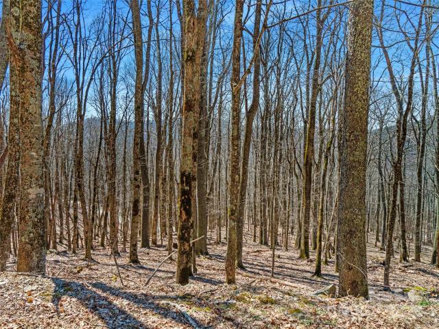Land for sale in Yancey, North Carolina