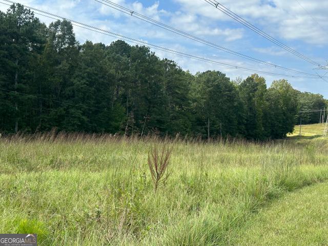 Land for sale in Moreland, Georgia