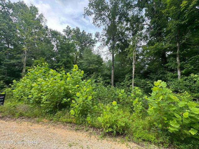 Land for sale in Clarkson, Kentucky