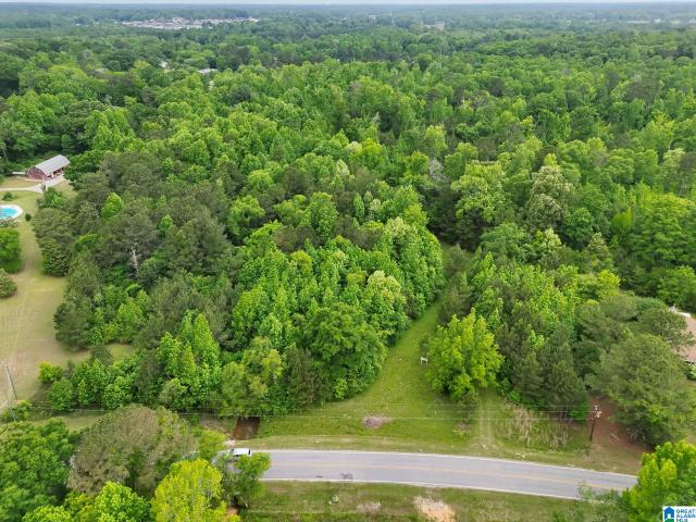 Land for sale in Clanton, Alabama