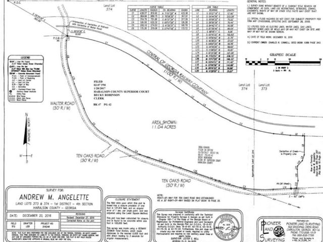 Land for sale in Haralson, Georgia