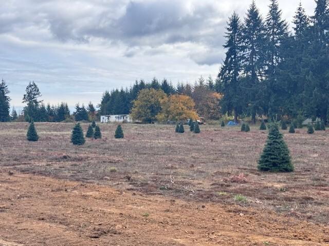 Land for sale in Winlock, Lewis County