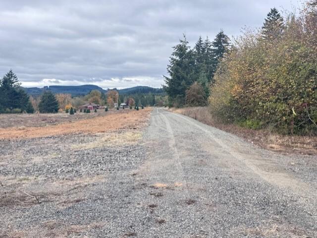 Land for sale in Winlock, Lewis County