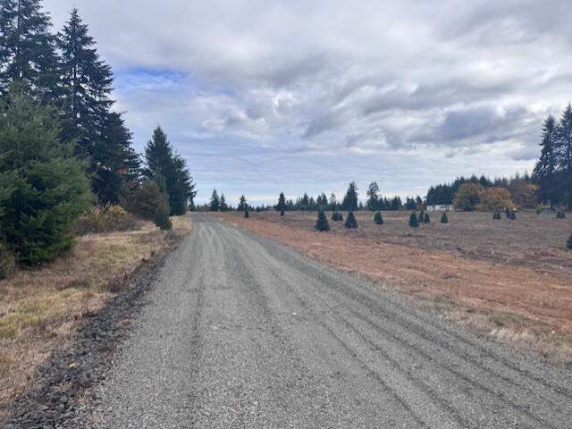 Land for sale in Winlock, Lewis County