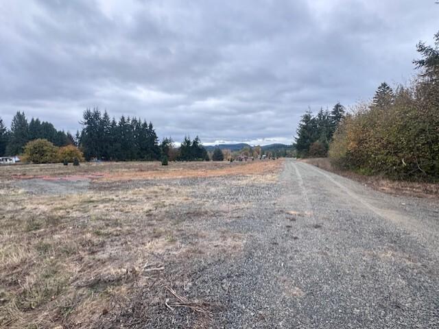 Land for sale in Winlock, Lewis County