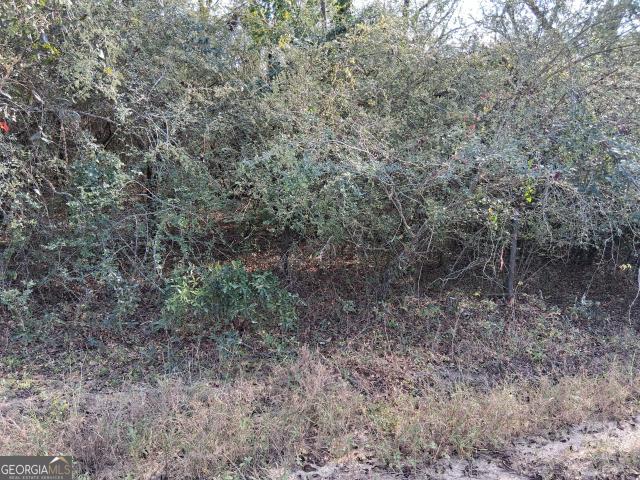 Land for sale in Peacocks Crossing, Tennille