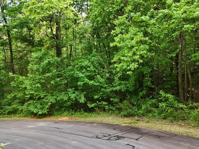 Land for sale in Clarkesville, Georgia