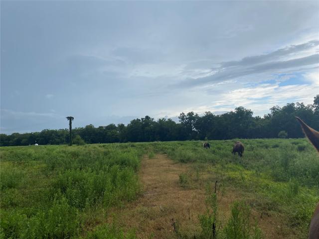 Land for sale in Thompsons, Texas