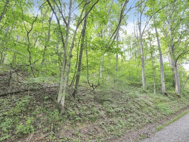 Land for sale in Laurelville, Ohio