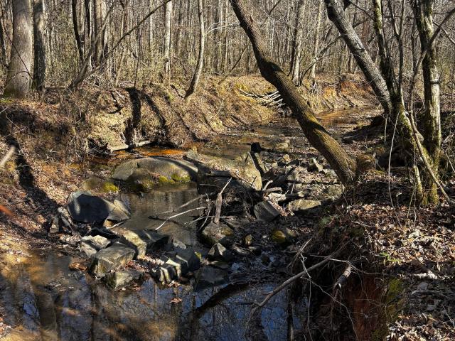 Land for sale in Winterville, Georgia