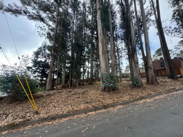 Property for sale in San Mateo, California