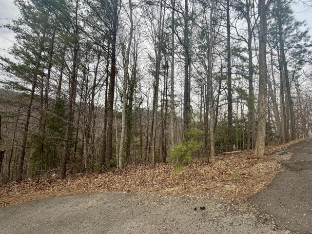 Land for sale in Tennessee