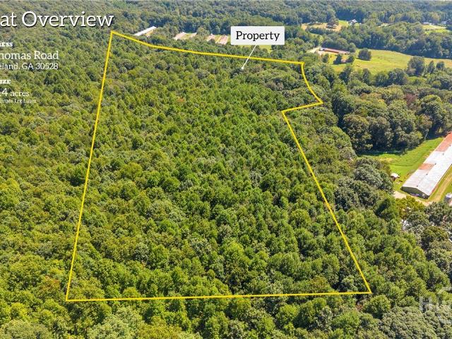 Land for sale in Cleveland, Georgia