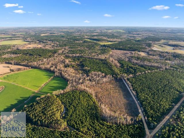 Land for sale in Millen, Georgia