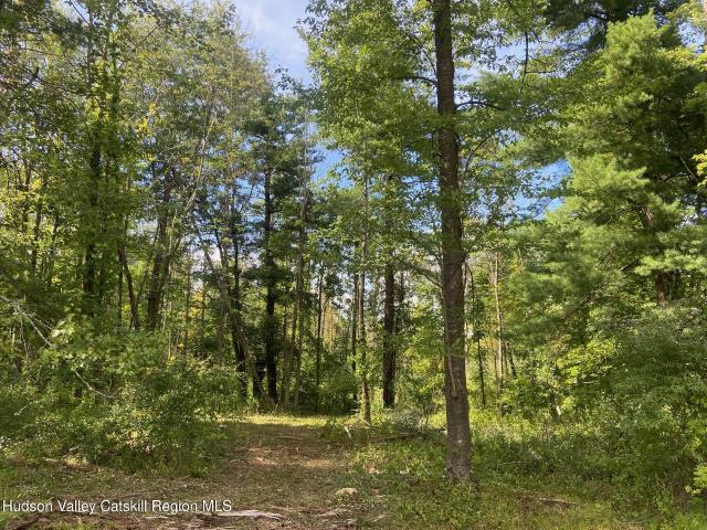 Land for sale in Claverack, New York