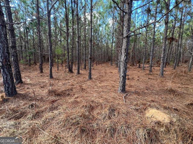 Land for sale in Millen, Georgia