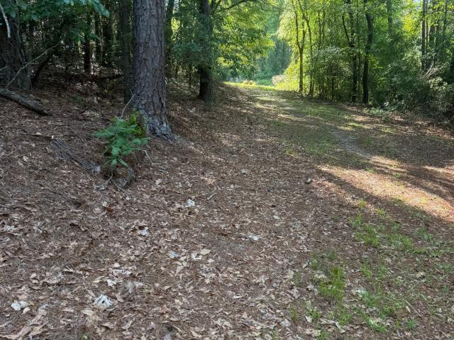 Land for sale in Montezuma, Georgia