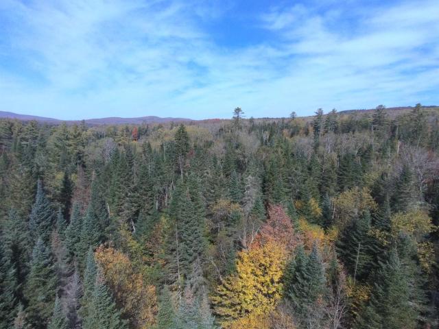 Land for sale in Gilman, Vermont