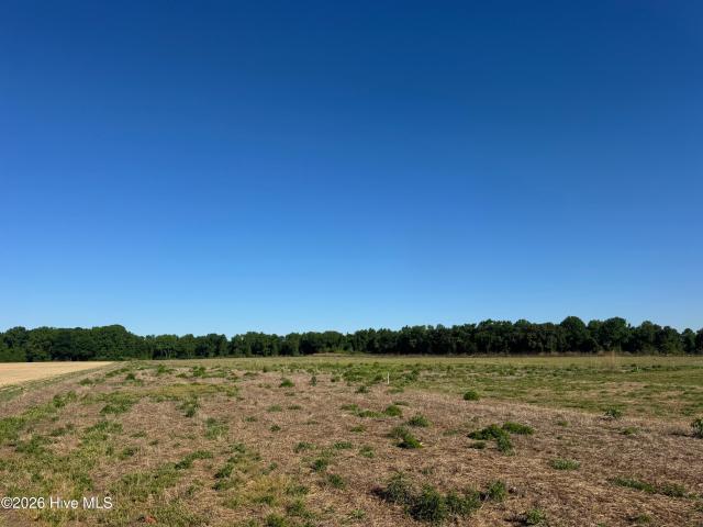 Land for sale in Turkey, North Carolina