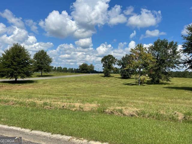 Land for sale in Lyons, Georgia